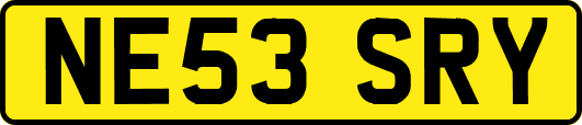 NE53SRY