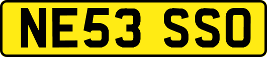 NE53SSO