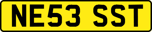 NE53SST