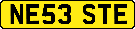 NE53STE
