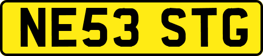 NE53STG