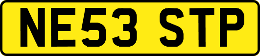 NE53STP