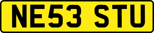 NE53STU