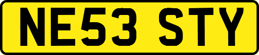 NE53STY