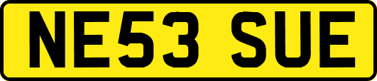NE53SUE
