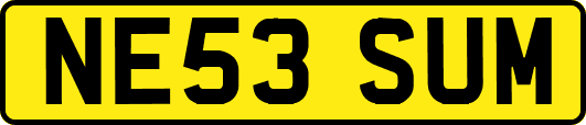 NE53SUM