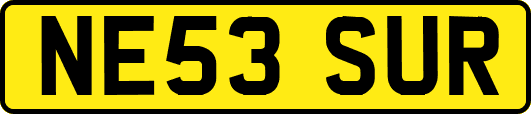 NE53SUR