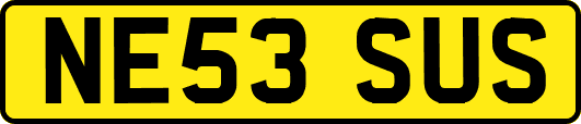 NE53SUS