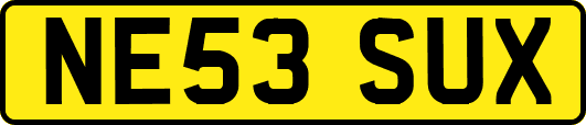 NE53SUX