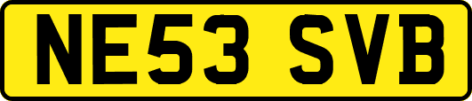 NE53SVB