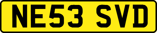 NE53SVD
