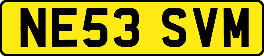 NE53SVM