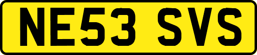 NE53SVS