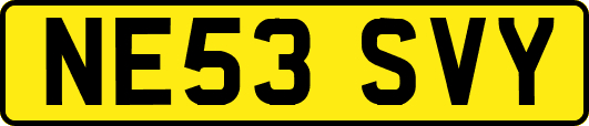 NE53SVY