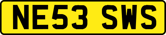 NE53SWS