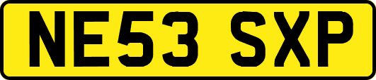 NE53SXP