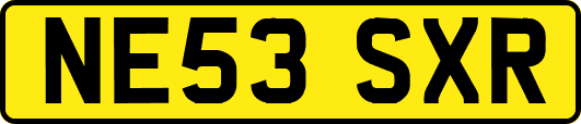 NE53SXR
