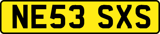 NE53SXS