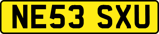 NE53SXU