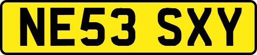 NE53SXY