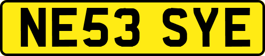 NE53SYE