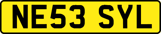 NE53SYL