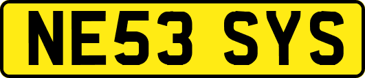 NE53SYS