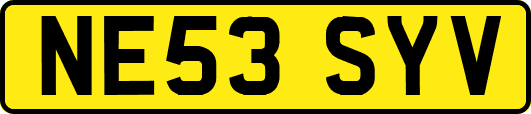 NE53SYV