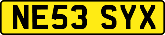 NE53SYX