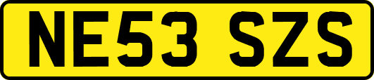 NE53SZS