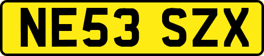 NE53SZX