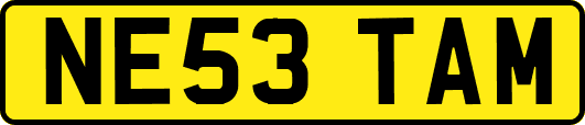 NE53TAM