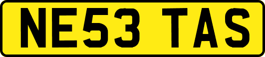 NE53TAS