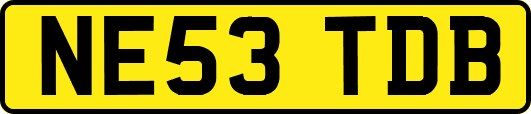 NE53TDB