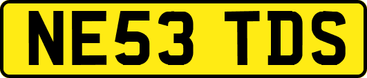 NE53TDS