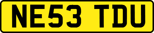 NE53TDU