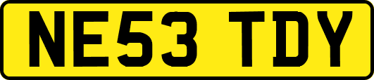 NE53TDY