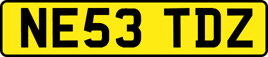 NE53TDZ