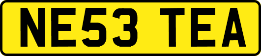 NE53TEA