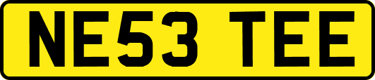NE53TEE