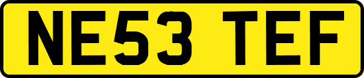 NE53TEF