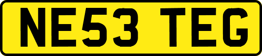 NE53TEG