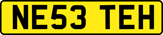 NE53TEH
