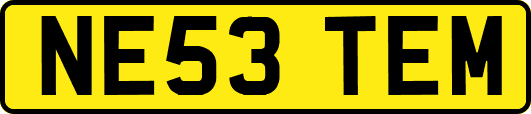 NE53TEM