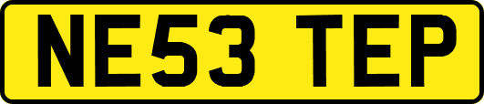 NE53TEP