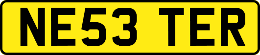 NE53TER