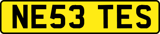 NE53TES