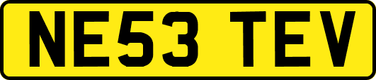 NE53TEV