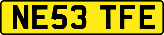 NE53TFE