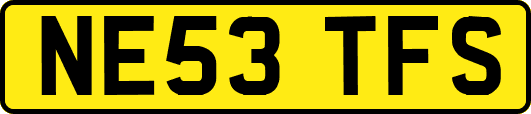 NE53TFS